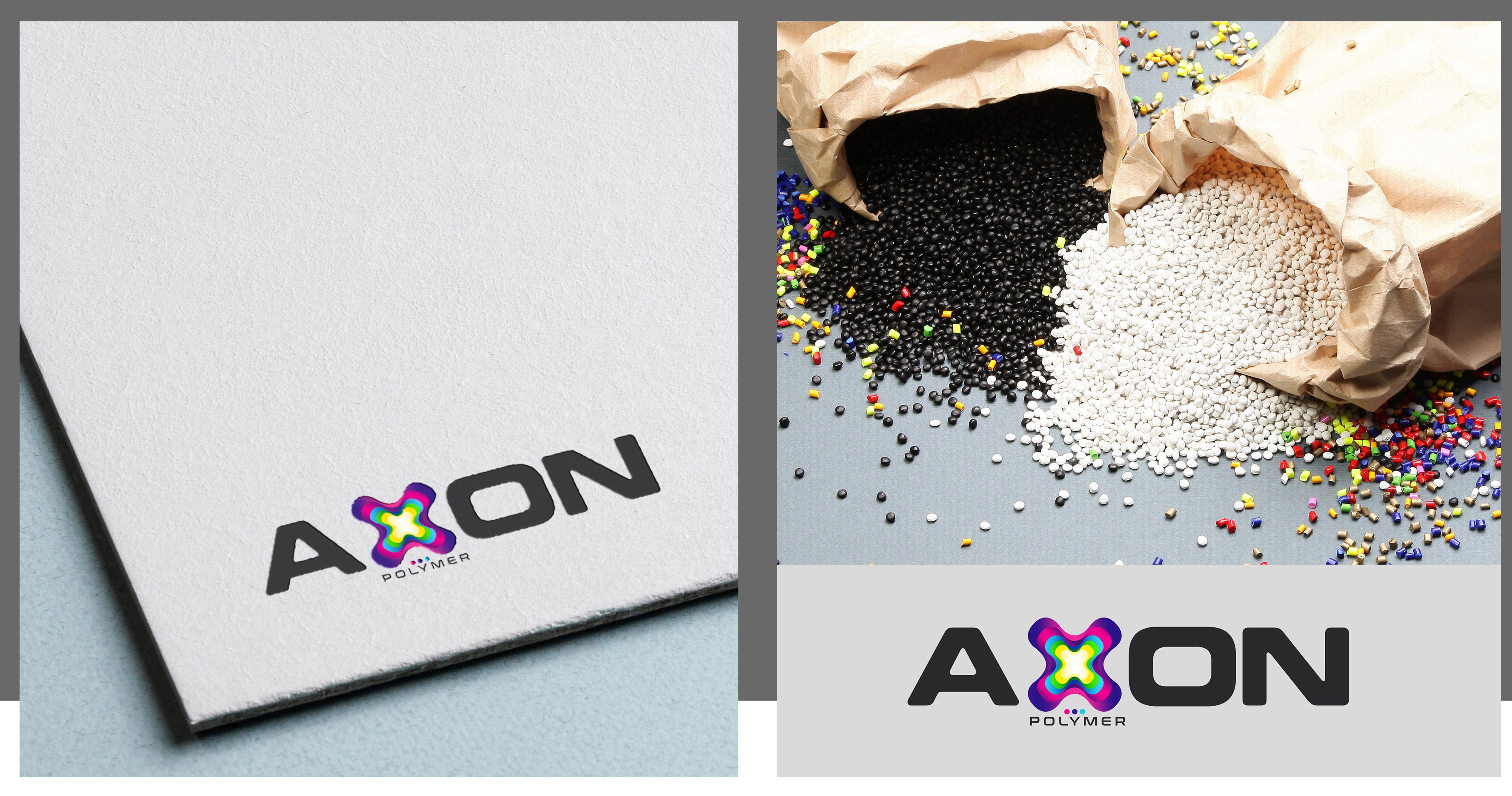 Axon.jpg