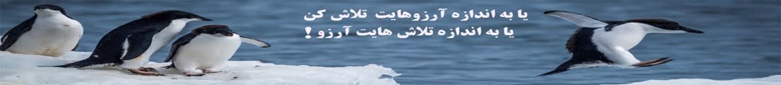 MohammadAmin.R