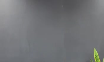نمونه کار تدوین ریلز اینستاگرام