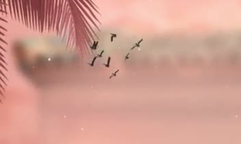 استوری موشن برای برند ساحل چوب