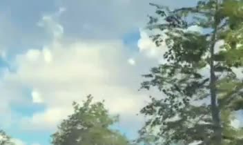 بازی بیگزکمپ(بازی یوتوبر بیگزموگ)