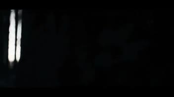 کلونی مورچه: سلسله ای که متوقف نمی‌شود