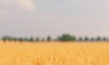 تدوین ویدیوی اینستاگرامی، یوتیوبی