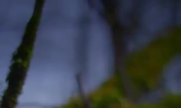 تدوین ویدیوی اینستاگرامی، یوتیوبی