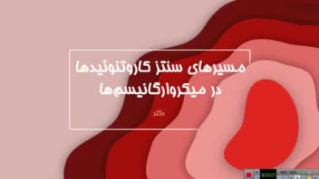 طراحی حرفه ای پاورپوینت  فارسی