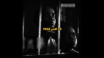 شورت ویدئو یوتوبی - ریلز اینستاگرامی - فیلد جنایی