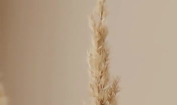 تیزر ارائه ی انواع خدمات زیبایی