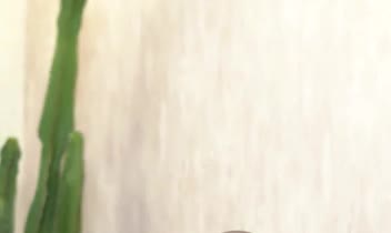 تدوین ریلز در رابطه با مد و لباس