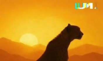 ساخت انیمیشن همراه با داستان و زیرنویس و صدا گذاری