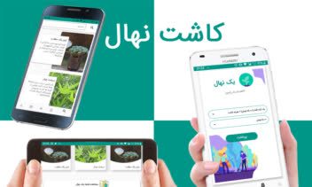 کاشت نهال (یک نهال)
