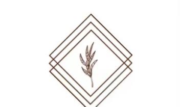 طراحی لگو