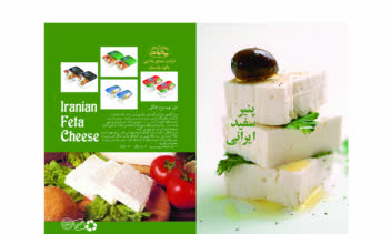 طراحی صفحات کاتالوگ