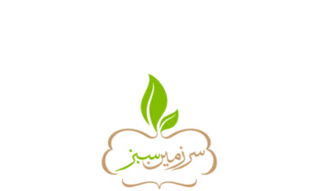 لوگو شماره سه