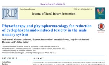 چاپ مقاله‌ی مروری در مجله‌ی Journal of renal injury prevention