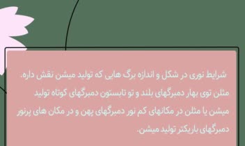 پست اسلایدی اینستاگرام