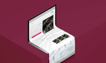 mahmoudi-Long-Scroll-Mockup4.jpg