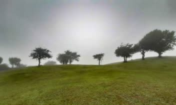 عکاسی طبیعت