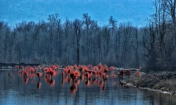 عکاسی طبیعت