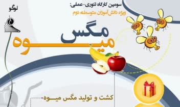 پوستر کارگاه مقطع ابتدایی
