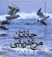 تایپو گرافی