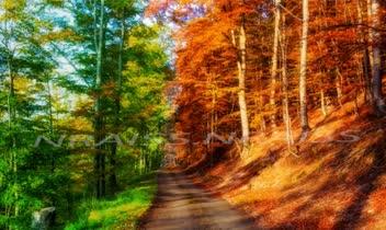 اصلاح رنگ عکس