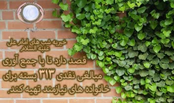 خیریه شب های علی