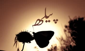 خوانش شعر سهراب سپهری