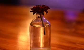 عکاسی حرفه ای