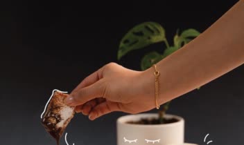 عکاسی محصولات خوراکی