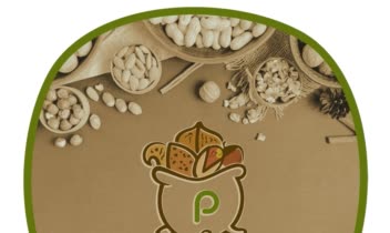 طراحی لوگو پدیده ماداکتو