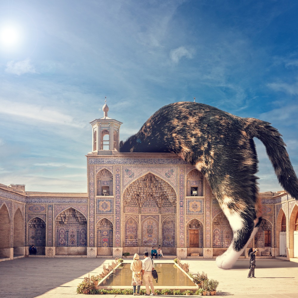 فتومونتاژ حیوانات