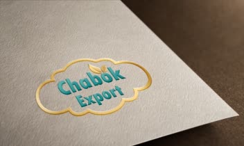 لوگو chabok export