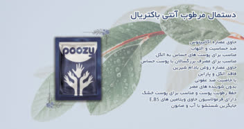 طراحی و تولید محتوای کاتالوگ محصولات برند پوزی