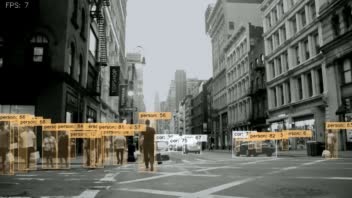 Object Detection + Tracking (Deep Sort)