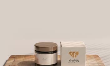 طراحی لوگو شرکت کارتن سازی
