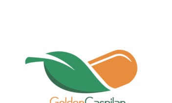 هویت بصری (لوگو) مرکز طب سنتی کاسپیلان طلایی