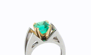 IMG_2346.GIF