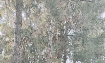 IMG_۲۰۲۳۰۳۰۶_۱۶۵۲۴۴.jpg