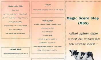 catalog.jpg