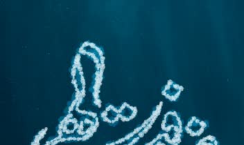 طراحی پوستر و بنر