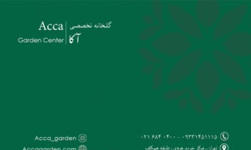 کارت ویزیت