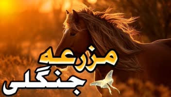 نمونه کار های کاور ویدیو و تامبنیل ویدیو های یوتیوب و اپارات
