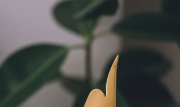 nahanshop-20211201-0012.jpg