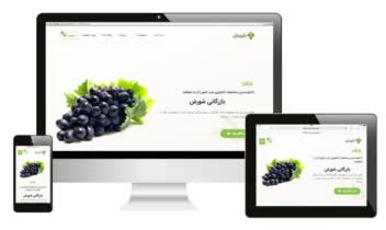 طراحی سایت + سئو داخلی و سئو خارجی