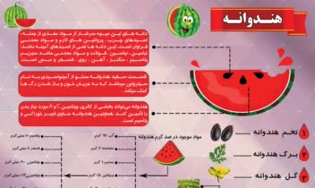اینفوگرافی