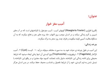 گزارشکار آزمایشگاه