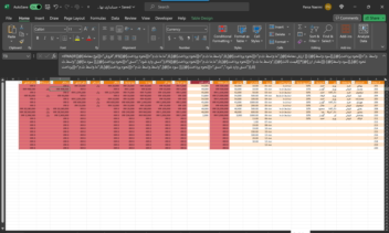 اکسل حسابداری صرافی