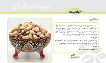 طراحی صفحات کاتالوگ
