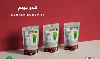 پوستر برای محصول بوئر هلند