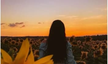 تایپیست تایپ ساده تبدیل فایل صوتی به متن نوشتن pdf